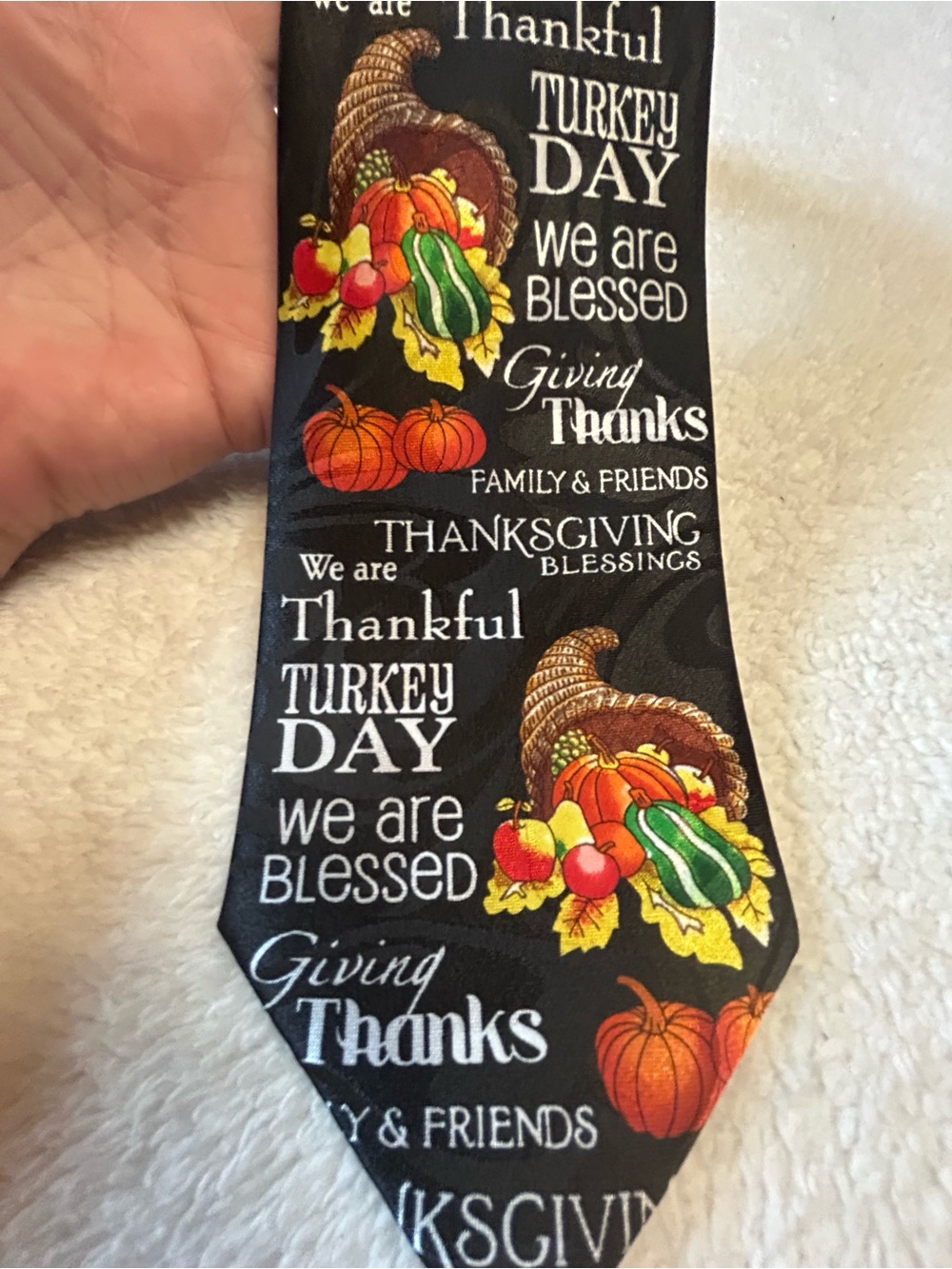 🎁3 for $30 - Thanksgiving Cornucopia Tie